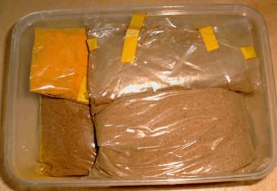 Curcuma